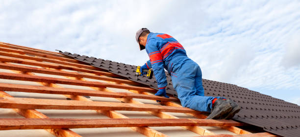 Best Emergency Roof Repair Services  in Wayne, WV
