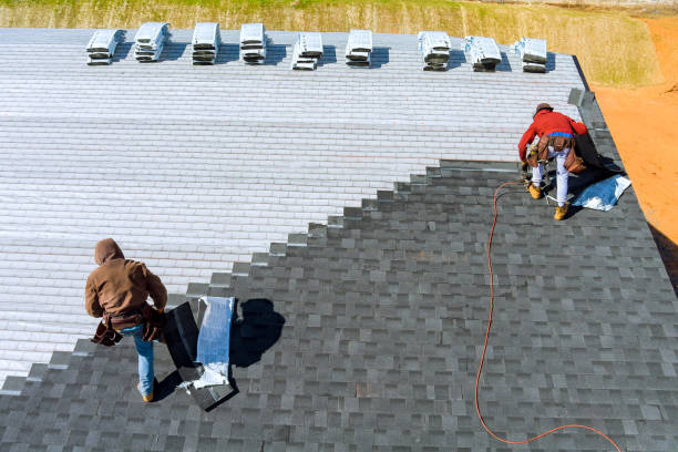 Best Storm Damage Roof Repair  in Wayne, WV