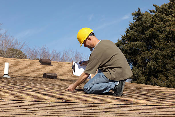 Best Storm Damage Roof Repair  in Wayne, WV